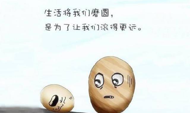 财务审计